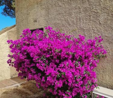 Marine de Saint Ambroggio Apartment | Cassetta 92 Marie-Pierre
