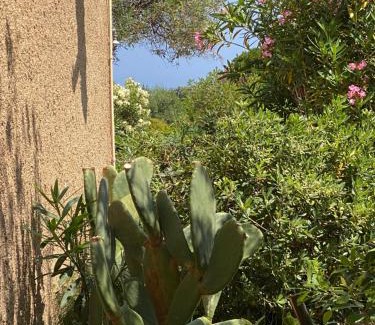 Marine de Saint Ambroggio Apartment | Cassetta 92 Marie-Pierre