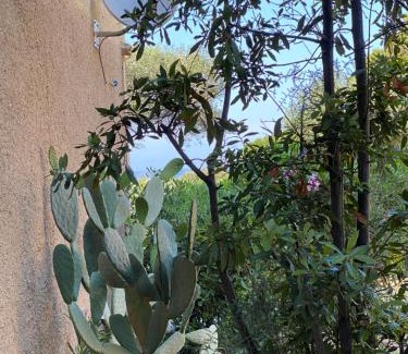 Marine de Saint Ambroggio Apartment | Cassetta 92 Marie-Pierre