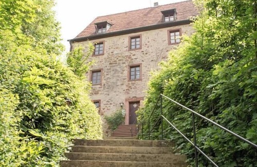 Schatthausen Apartment | Castle Apartment 7 - A Place in the Green