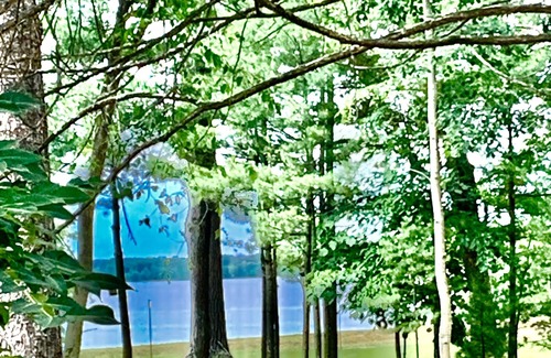 Friendship Cabin | CASTLE ROCK LAKE VIEW