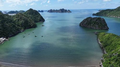 Cat Hai Cabin | Cat Ba Serenity Beach Bungalows