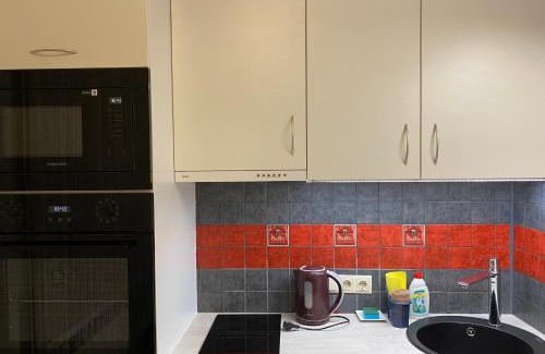 Purvciems Apartment | Cat Garden Family Apartments Riga