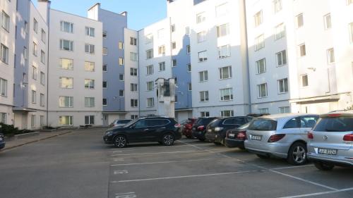 Purvciems Apartment | Cat Garden Premium Apartments Riga