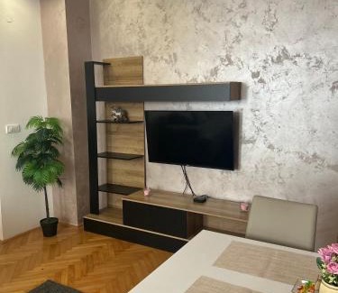 Ub Apartment | Centar stan na dan Ub