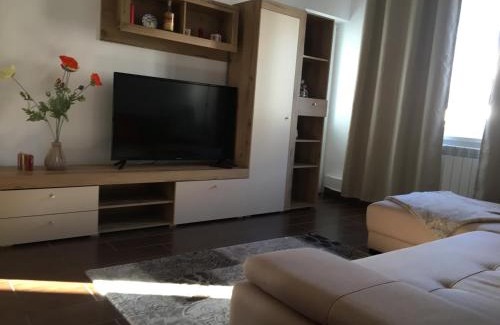 Piatra Neamt Apartment | Central Home