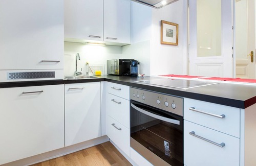 Roßau Apartment | CENTRAL LOCATION 1 BED APT. "SCHOTTENRING"