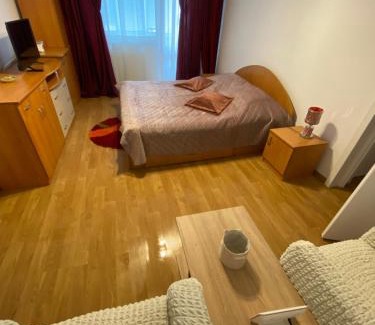 Piatra Neamt Apartment | Central Park Studio