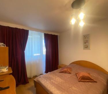 Piatra Neamt Apartment | Central Park Studio