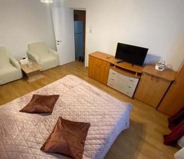 Piatra Neamt Apartment | Central Park Studio