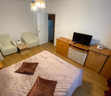 Piatra Neamt Apartment | Central Park Studio