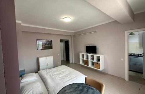 Vitan Apartment | Central Studio Vitan Mall