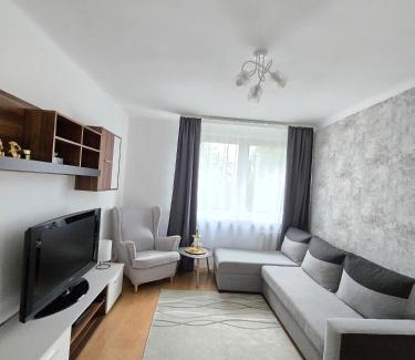 Kielce Apartment | Centrum Rose Apartament