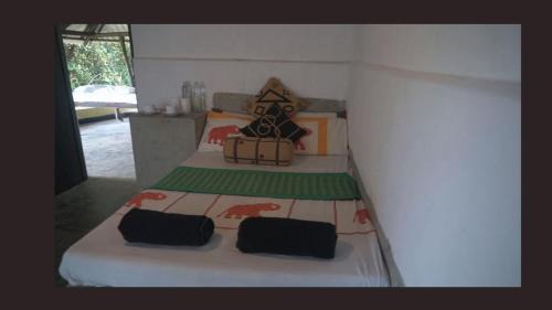 Dambulla Cabin | CES Field Base