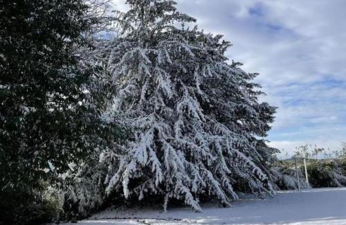 Bellavilliers House | Château élégant au cœur du Perche avec jardin et cheminée - FR-1-497-102