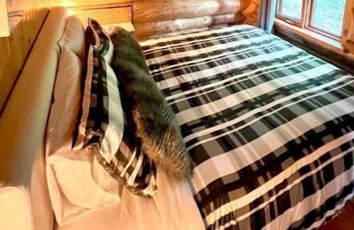 Saint-Gabriel-de-Valcartier Ski Chalet | Chalets Terre de l 'Orme Chalet Bois Rond à SGDV