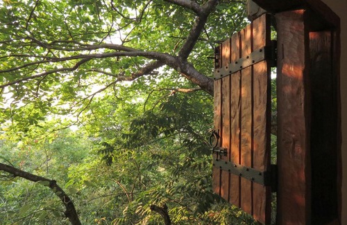Bonito Cabin | Chalé do Bosque