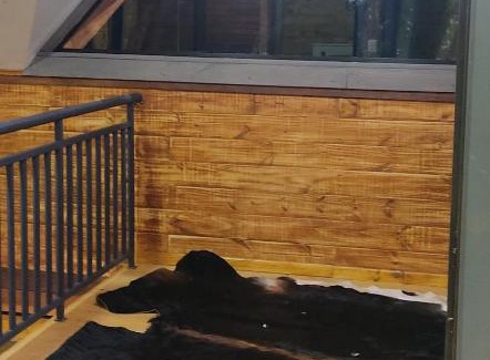 Alto Boqueirao Ski Chalet | Chalé em frente ao zoológico