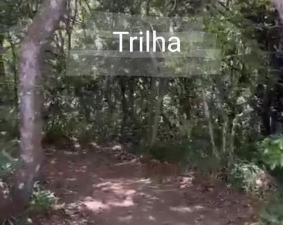 Bananeiras House | Chalé Estação dos Sonhos