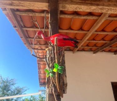 Barra Grande Ski Chalet | Chalé Guará - Barra Grande- PI