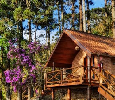 Sao Bento do Sapucai Cabin | Chalés Araucária e Manacá