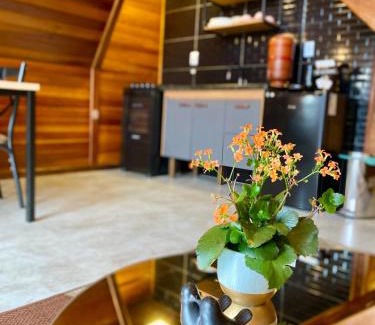 Cunha Ski Chalet | Chalés Fazenda Floresta das Araucárias