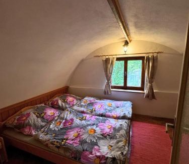 Liptovsky Trnovec House | Chalúpka pod orechom