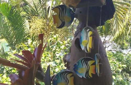 Ilha Grande House | chale pouso da mariposa