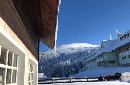Petrosani Ski Chalet | Chalet Alpina66