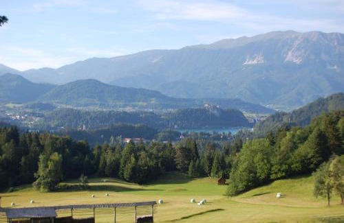 Bled Ski Chalet | Chalet ApArt Kupljenik 12 A, Bled