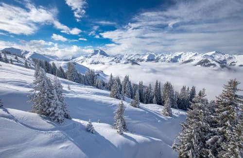 Going am Wilden Kaiser Ski Chalet | CHALET BELLE KAISER by Belle Stay