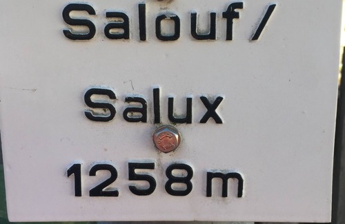 Salouf Ski Chalet | Chalet Bummi a chalet with breathtaking views in summer and winter