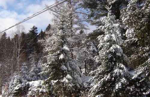 St-Adolphe-d'Howard Cabin | Chalet privée - Lac Huguette avec Spa
