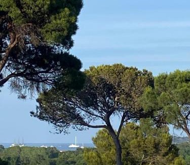 Gassin House | Chalet Californien rénové, superbe piscine dans la résidence, central, ST Tropez 7km!