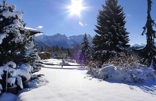 Arveyes Ski Chalet | Chalet Chalet Lorila