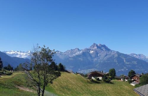 Villars-sur-Ollon Ski Chalet | Chalet Chalet Olivier by Interhome