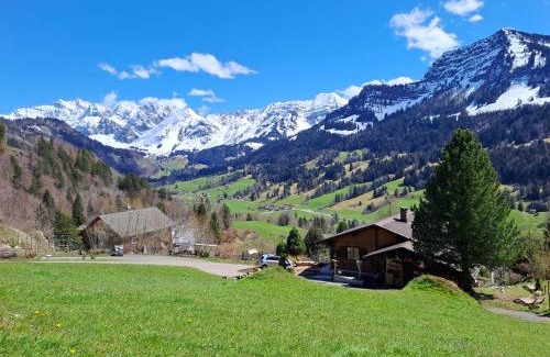 Nesslau-Krummenau Apartment | Chalet Chnorz Hosted