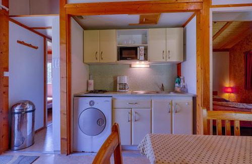 Les Tourrettes Ski Chalet | Chalet D'alpion