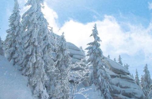 Annaberg im Lammertal Ski Chalet | Chalet Dachstein