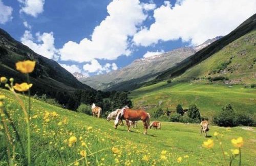 Annaberg im Lammertal Ski Chalet | Chalet Dachstein
