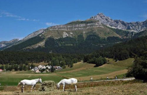 Villard-de-Lans Ski Chalet | Chalet du champ Martel