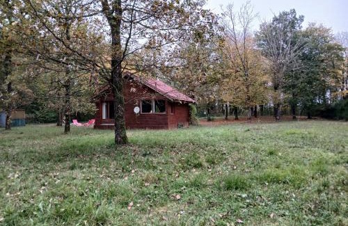 Valpuiseaux Ski Chalet | Chalet en forêt, brame du cerf