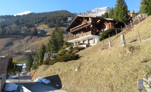 Jaun Apartment | Chalet Erica