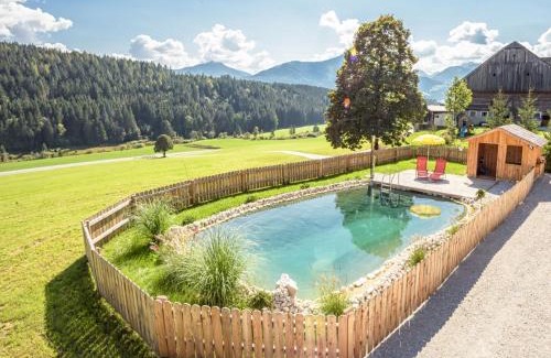 Mitterberg-Sankt Martin Ski Chalet | Chalet Grimmingblickhütte by Interhome