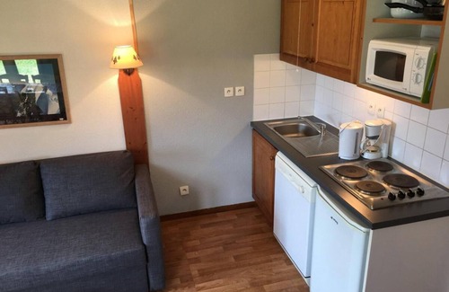 La Joue du Loup Ski Chalet | Chalet, Ground floor, tv, ski locker, 53m², La Joue du Loup