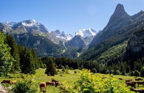 Pralognan-la-Vanoise Hotel | Chalet Hôtel Les Airelles
