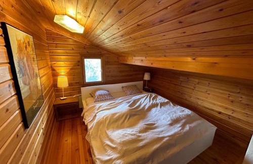 Vex Ski Chalet | Chalet in Vex near Les Masses Chairlift