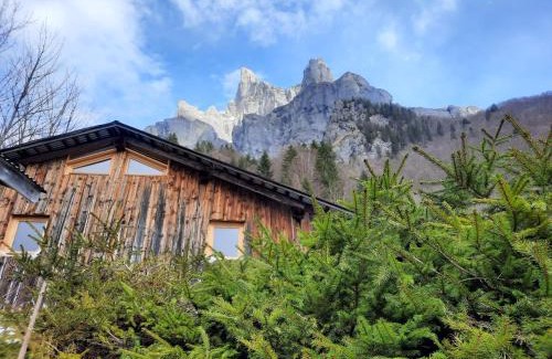Sixt-Fer-a-Cheval Ski Chalet | Chalet la corne du chamois