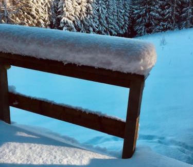 Buellingen Ski Chalet | Chalet Le Forestier