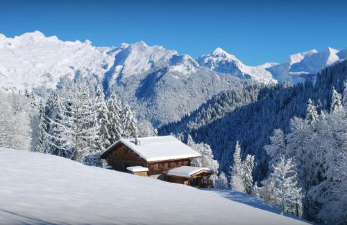 Samoens Ski Chalet | Chalet Les Pellys - OVO Network